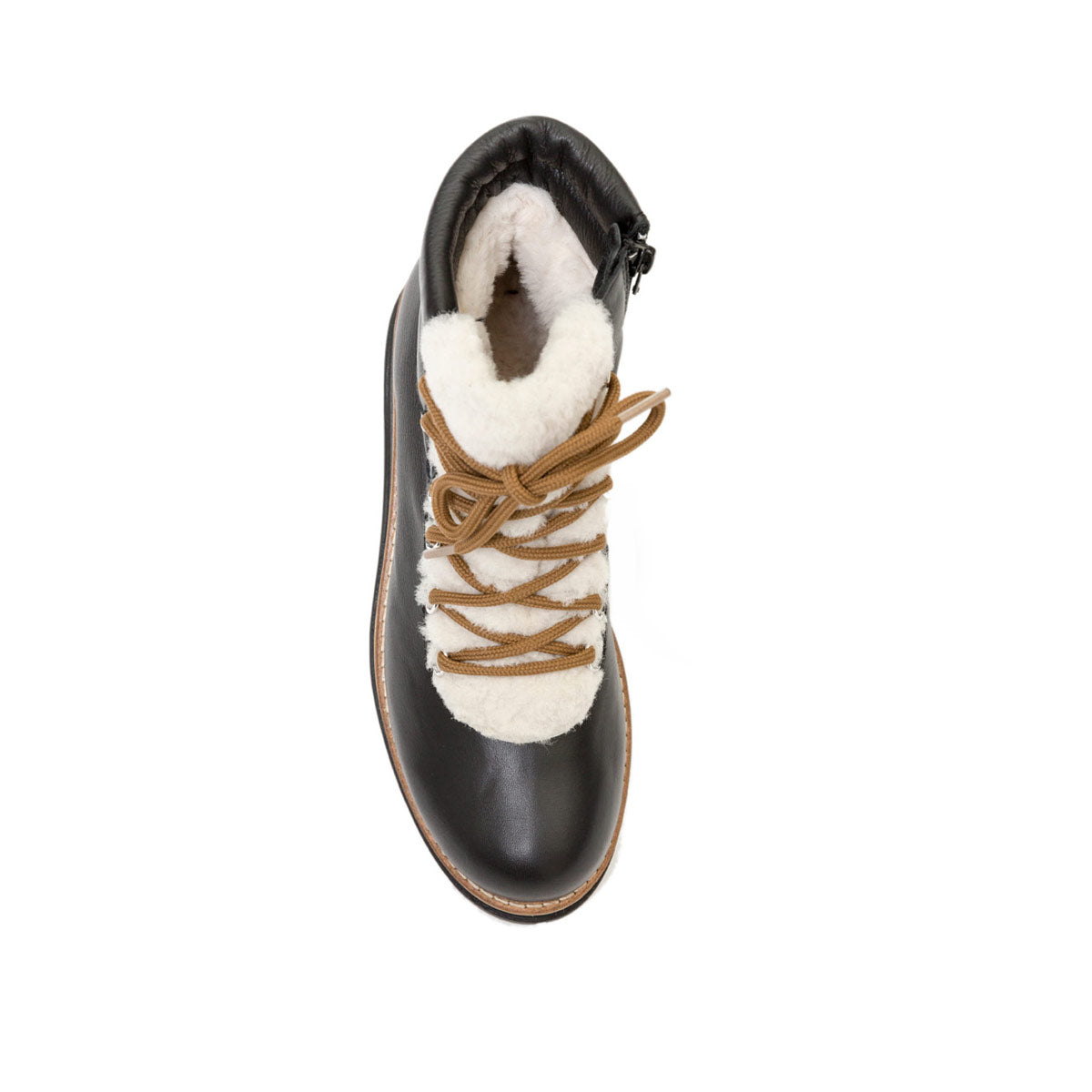 Wesson - Cuir